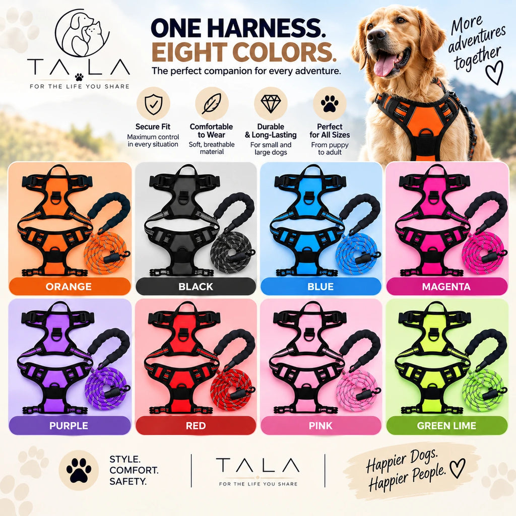 TALA Dog Harness