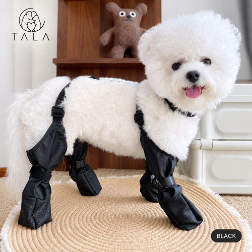 TALA Hundeschuhe für alle Jahreszeiten
