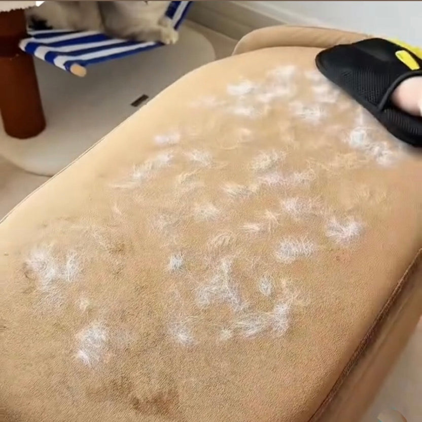 Upholstery with pet hair before cleaning